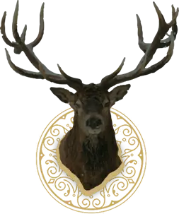 Decor: photo of a deer with art deco graphics